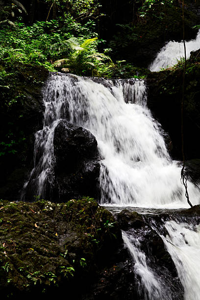istock Waterfall Over Black Volcanic Rock Amid Tropical Plants Hawaii 2218686250
