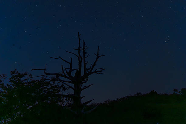 istock the night sky of Deogyusan Mountain 2218688436
