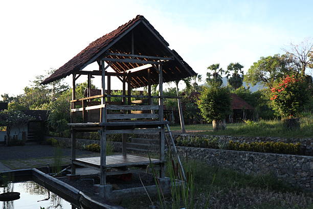 istock wooden huts in the rice fields in rural Indonesia 2218688530