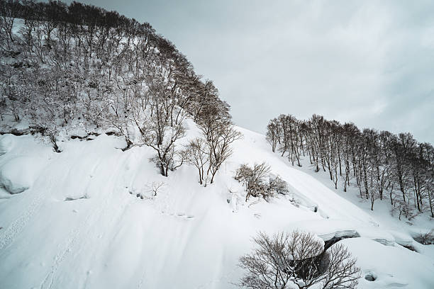 istock Bare trees standing quietly in deep white snow at Ishiuchi Maruyama, Japan. A minimal and poetic winter landscape that conveys solitude, calm, and the gentle silence of nature in cold season. 2218691320