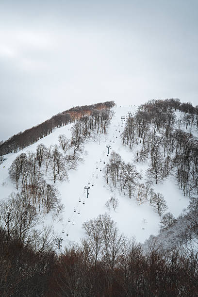 A breathtaking panoramic view of snow-covered mountain ranges including Ishiuchi Maruyama, Yuzawa Kogen, and distant peaks near Echigo-Yuzawa in Niigata, Japan, captured from Gala Yuzawa station.