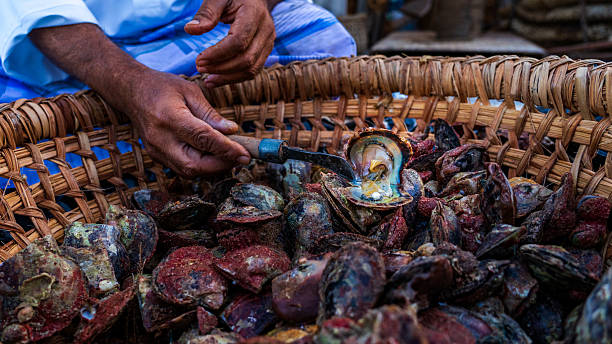 istock Qatar Man Displaying a Pearl Inside an Oyster 2218696164