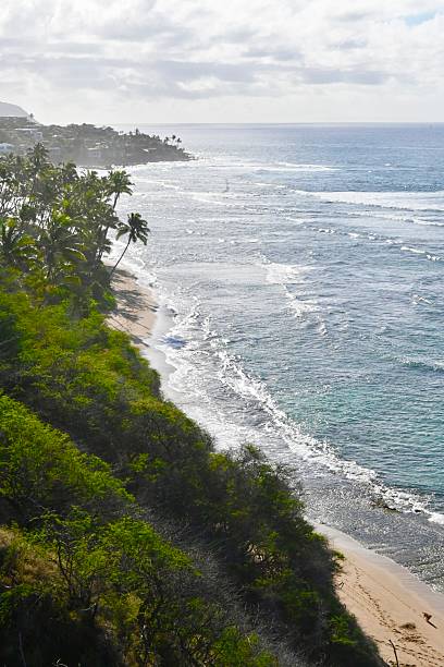 istock Lush Green Cliffs Overlooking a Secluded Beach in Hawaii 2218696449