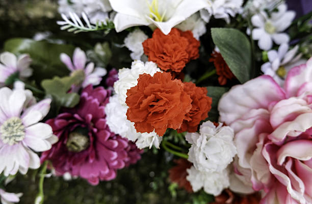 Colorful Carnations Blooming in a Flower Market or Garden