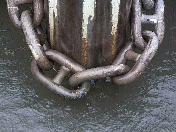 A close-up of a chain wrapped around a pole standing in water.