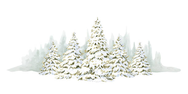Fir forest landscape with Christmas trees in snow hand drawn illustration isolated on white background for Happy New Year cards and horizontal greeting banners. Pastel winter clip art.