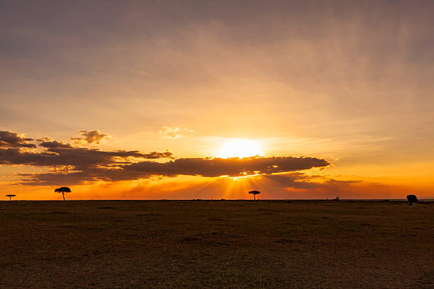 istock Sunset on the African savannah 2218713244
