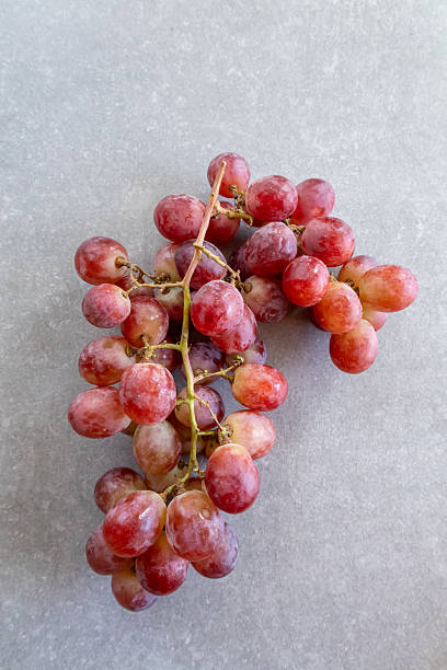 istock Close-up of red grapes resting on a smooth gray stone surface. 2218717121