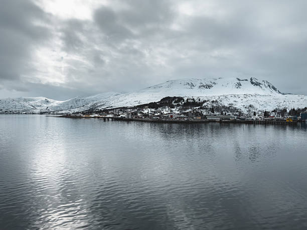 Tranquil fjord with snow-laden mountains under cloudy skies. Idyllic winter landscape showcasing serene natural beauty. Perfect for nature enthusiasts and travel promotions.