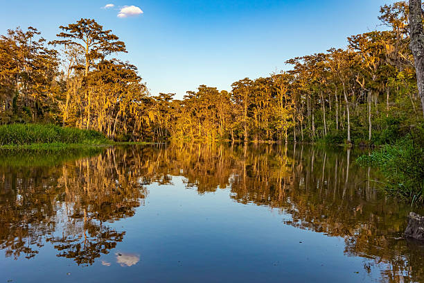 istock Sunset. New Orleans area 2218723006