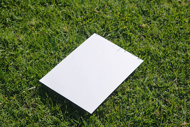 istock Mockup blank poster on green grass background 2218725451