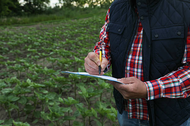 istock Elderly farmer documenting crop growth in agricultural field 2218728435