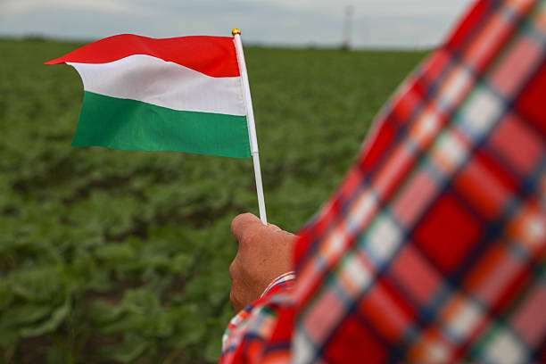 Close-Up Of A Farmer’s Hand Holding The Hungarian National Flag On A Cultivated Agricultural Field. Conceptual Image Representing Patriotism, National Pride In Agriculture, And Rural Life In Hungary.