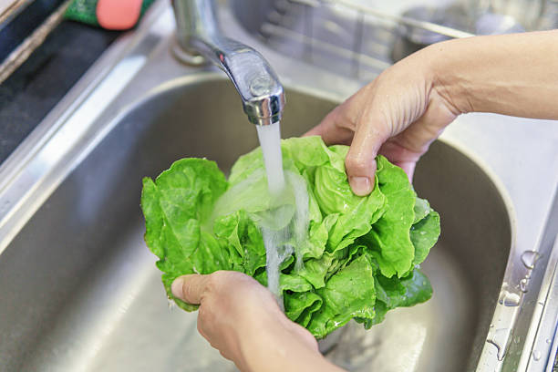 istock Woman hands washing fresh green iceberg lettuce in kitchen 2218736190