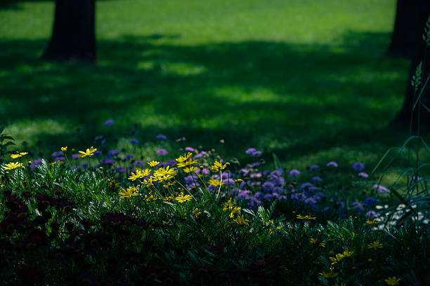 Flowers and trees in the spring garden