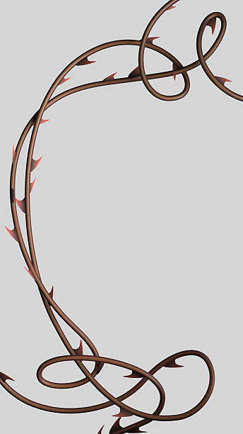 Prickly vine border isolated.
