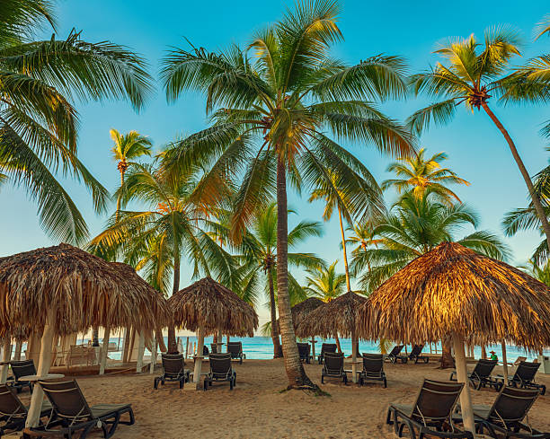 istock Tropical carribbean beach 2218741752