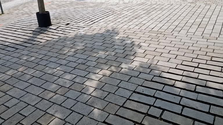 path in the city to the promenade is paved under the roots of the tree with a permeable pavement with joints where it can breathe and soak under the surface when it rains, airy