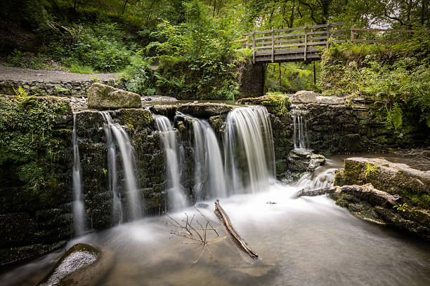 istock Long exposure on the Cotehele Estate 2218758002