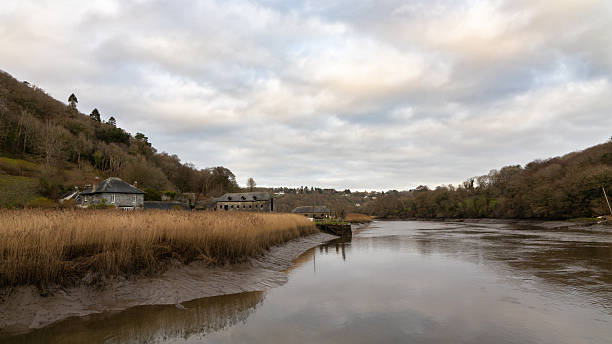 istock Autumn on the Cotehele Estate, Cornwell 2218758050