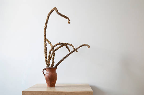 istock still life with dried plants in jug on wooden table 2218763533