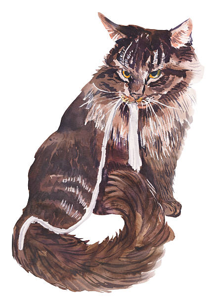istock A brown tabby cat. A hand-drawn watercolor illustration isolated on a white background. A big fluffy striped cat with stripes is playing with a white ribbon. Playful cats 2218763550