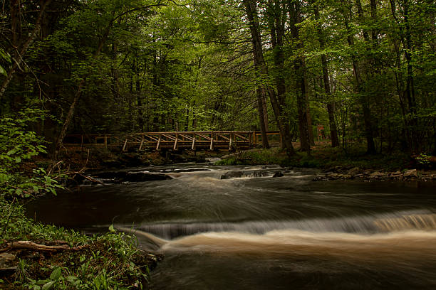 istock Falls at George W. Child's Park after a spring storm 2218763755