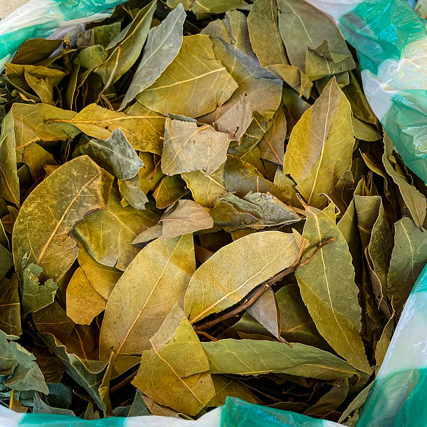 High angle view of bay leaves in plastic bags for sale in a retail store