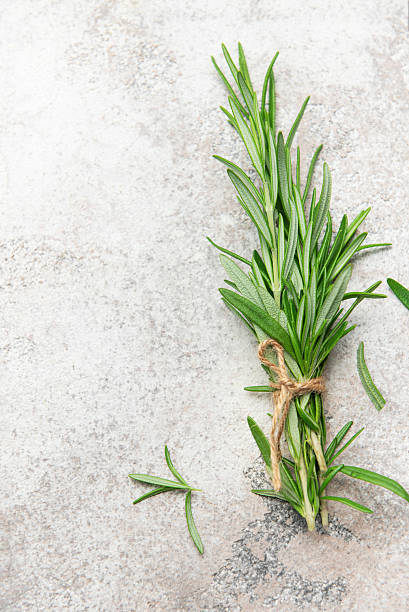 istock Fresh rosemary sprigs tied with twine on stone surface 2218773195
