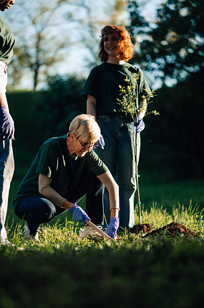 istock Volunteers planting trees in a park during a sunny day 2218780197