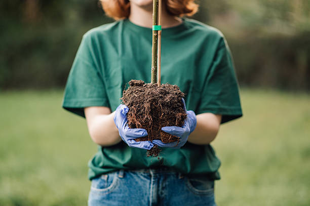 istock Volunteer holding a small tree for planting in the park 2218780225