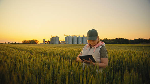istock Dedicated Female Farmer using Digital Tablet in Green Wheat Field at Sunset 2218780519