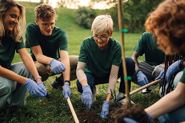 istock Volunteers planting a young tree in a park 2218781297