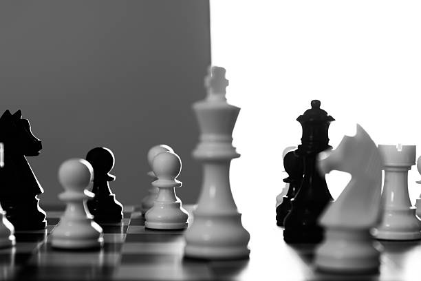 Chess photographed on a chessboard