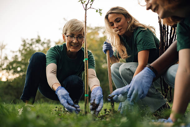 istock Volunteers planting a young tree in a park 2218781582