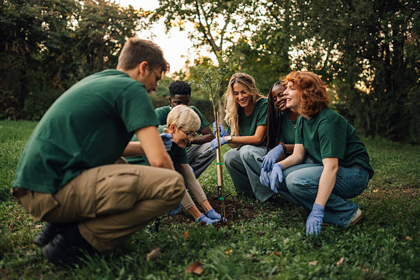 istock Volunteers planting a young tree in a park during a reforestation event 2218781652