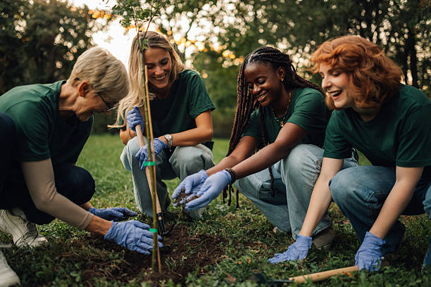 istock Volunteers planting a young tree in a park for a greener future 2218781655