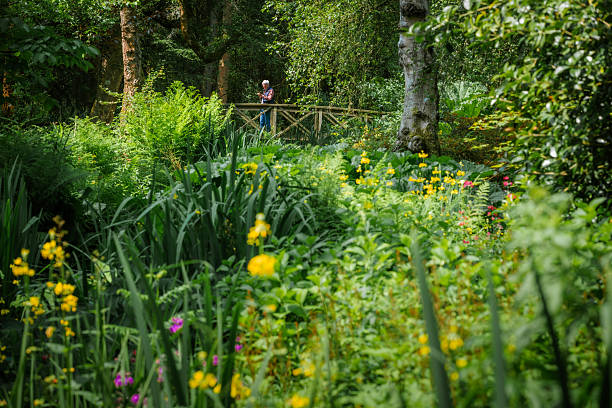 Portrait of a senior man in his 70s using his phone while standing on a bridge in the wildflower garden. The man stands alone on a wooden bridge lost in his thoughts, while all around him wild nature is in full bloom with flowers and lush foliage.