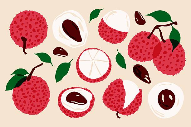 1,300+ Cartoon Of Litchi Illustrations - iStock