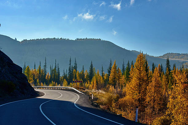 istock Contrasts of a sunny day 2218786566