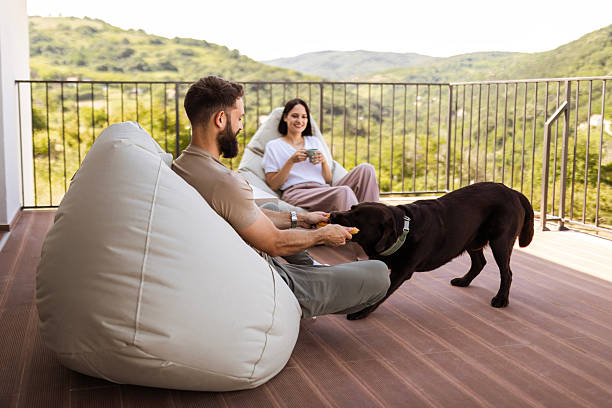istock Outdoor Coffee Time with a Playful Labrador Retriever 2218788044
