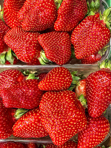 Fresh Ripe Strawberries in Containers Display. Made on smartphone.