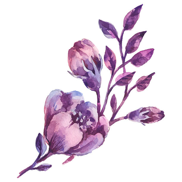 istock Hand Painted Watercolor Flower Vector Illustration Floral Element on White Background 2218788748