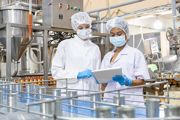 istock Quality control inspectors in a food processing plant 2218795136