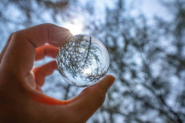 A hand holds a clear glass sphere reflecting an inverted view of the surrounding landscape. Within the sphere, tall trees and a bright, cloudy sky are visible, creating a mirrored effect. The background outside the sphere shows blurred tree branches and the sky, suggesting depth and contrast between the crystal-clear reflection and the soft-focus background. The sphere is held up against the light, with sunlight creating a bright focal point in the reflection.