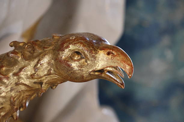 Close up of a beautiful Bald Eagle the national bird of the USA. 