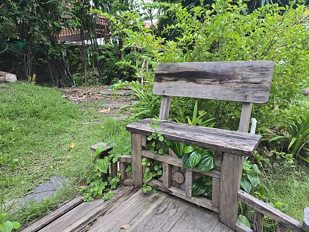 A rustic wooden bench sits invitingly in a serene garden, surrounded by lush greenery and plants, creating a perfect spot for relaxation and reflecting in nature.