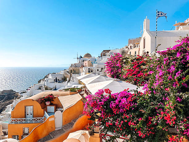 istock Bright Bougainvillea in Oia 2218804797