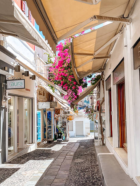 istock Charming Santorini Alley with Bougainvillea 2218804951