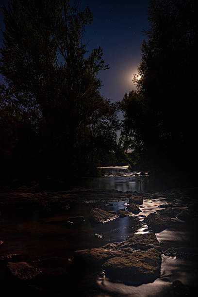 The douro river flows gently under the moonlight, with stars twinkling in the night sky above the silhouette of trees and ruins of old watermills